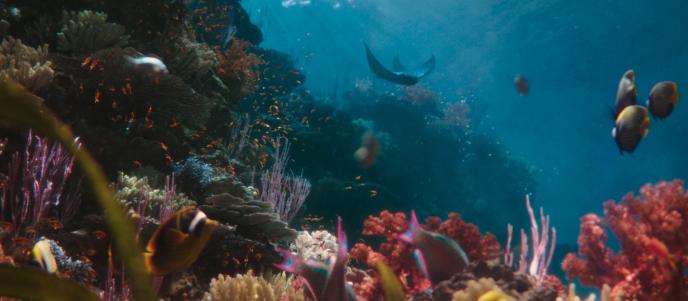 a vibrant reef with fish and a stingray swimming
